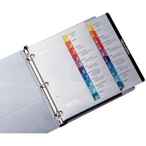 SEPARADOR MULTIDEX BASICO DIVISIONES DEL 1-31 JGO SEPARADOR MULTIDEX BASICO DIVISIONES DEL 1-31 JGO