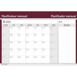 PLANEADOR MENSUAL 23 X 30""" LISO BLUELINE PLANEADOR MENSUAL 23 X 30""" LISO BLUELINE