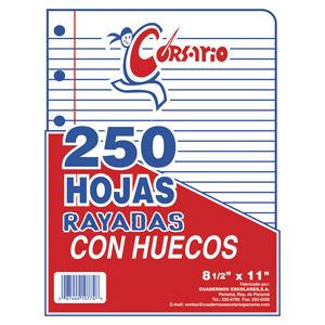 HOJAS RAYADAS CARTA CON ORIFICIOS PAQUETE CON 250