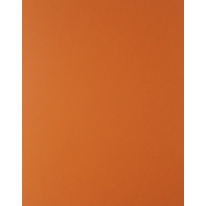 CARTULINA NARANJA 65X50 CM 170G FASHION 938 CARTULINA NARANJA 65X50 CM 170G FASHION 938
