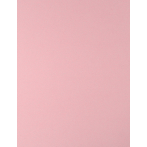 CARTULINA ROSA 65X50 CM 170G FASHION 921 CARTULINA ROSA 65X50 CM 170G FASHION 921