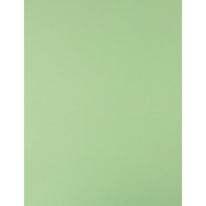 CARTULINA VERDE PALIDO 65X50 CM 170G FASHION 924 CARTULINA VERDE PALIDO 65X50 CM 170G FASHION 924