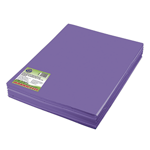FOAMY CARTA MORADO PAQUETE CON 5 PIEZAS FOAMY CARTA MORADO PAQUETE CON 5 PIEZAS