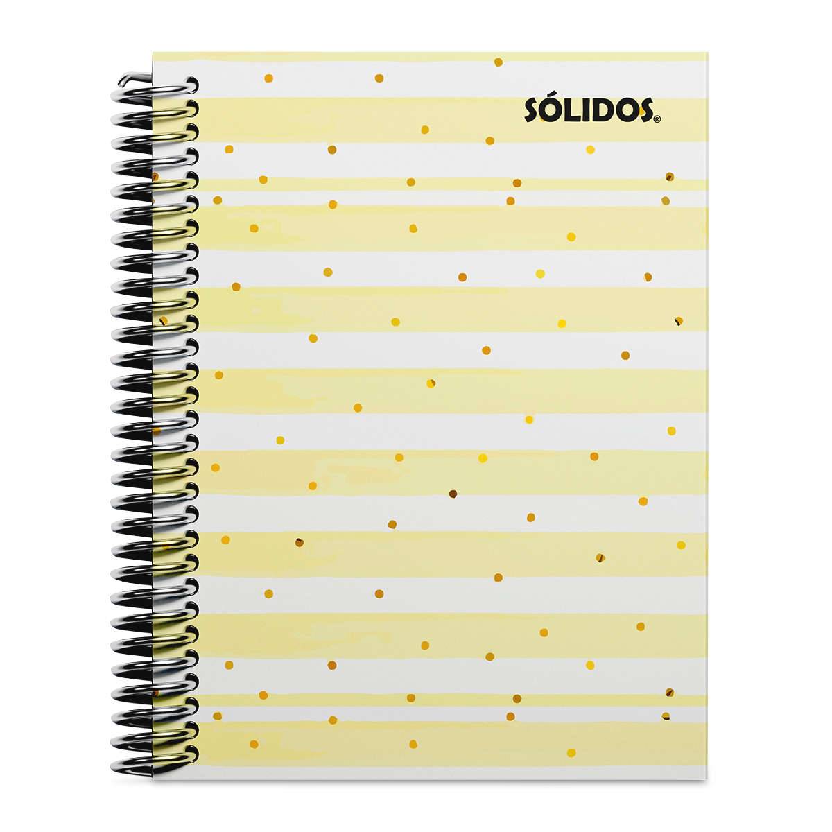 CUADERNO SOLIDO ESPIRAL CARTA PASTA FLEXIBLE PUNTOS 100H LINEAS