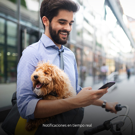 CAMARA WIFFI NEXXT 2K INTERIOR FIJA