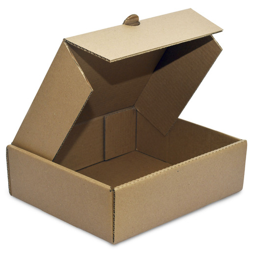 CAJA DELIVERY MEDIANA (MEDIDAS: 25.4 X 22.9 X 10.2 CM)