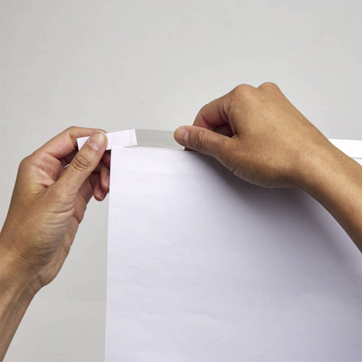 INDICE CEJA TRANSP BCA 5 DIV