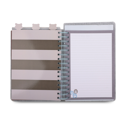 CUADERNO ESPIRAL MAPACHE 4 DIVISIONES