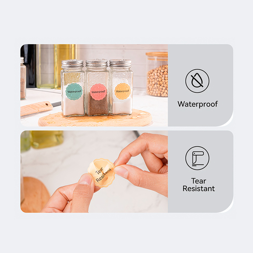 ETIQUETADORA/ROTULADORA NIIMBOT B1 AZUL